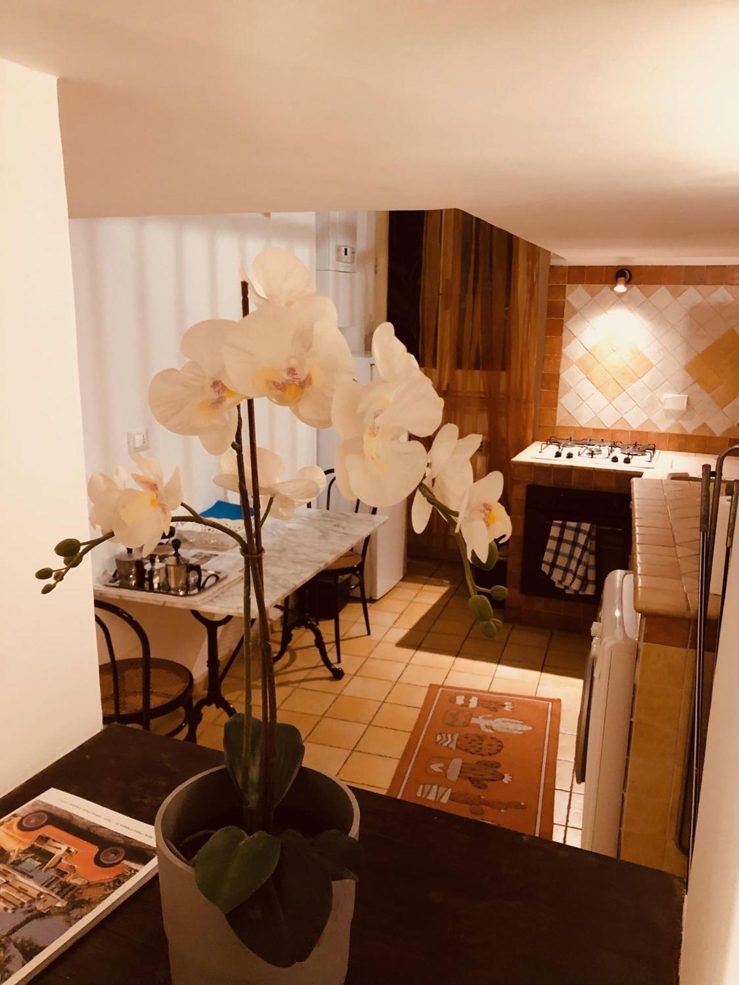 Campo De' Fiori Loft The Angeli'S Apartment โรม ภายนอก รูปภาพ