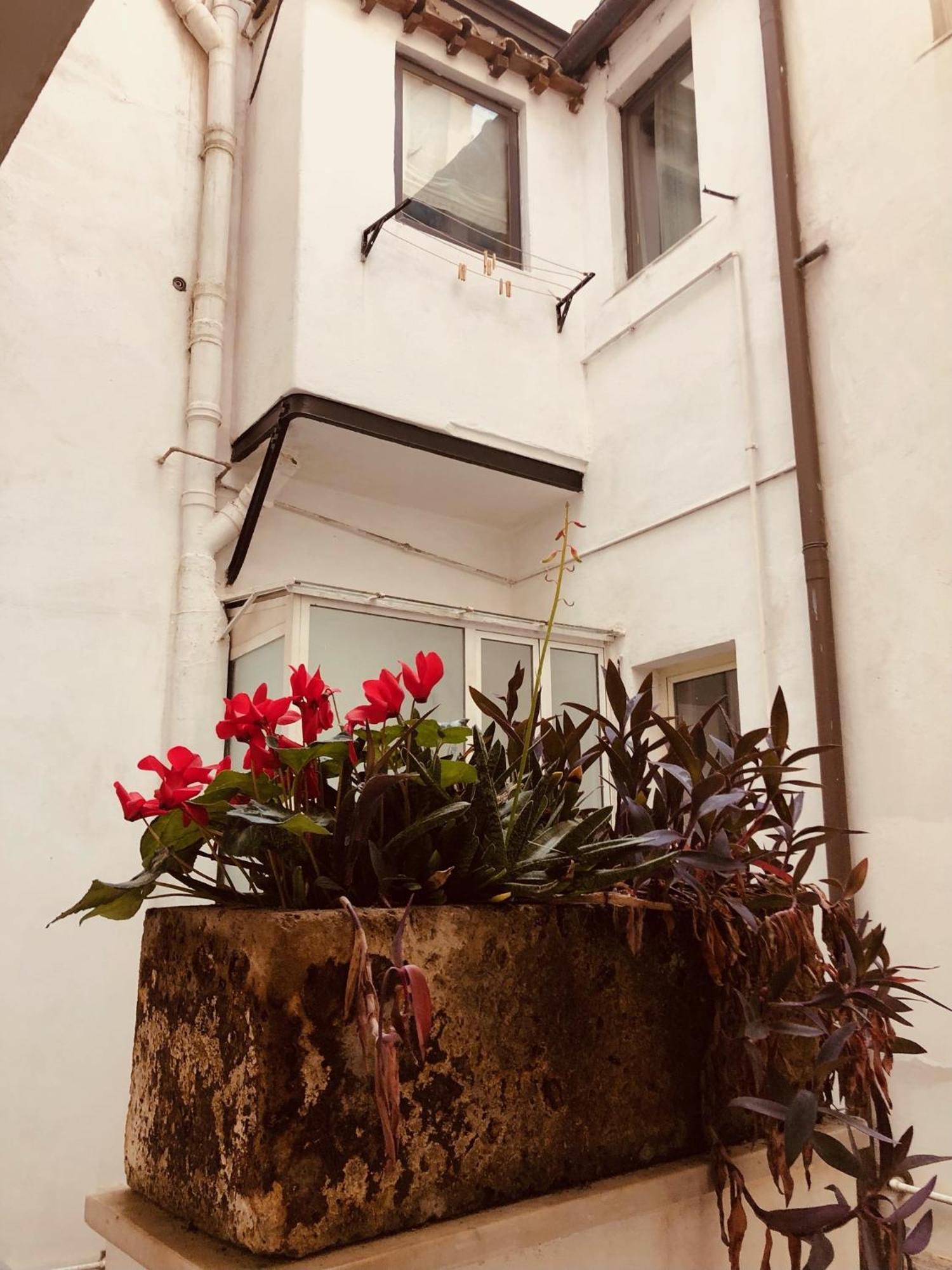 Campo De' Fiori Loft The Angeli'S Apartment โรม ภายนอก รูปภาพ